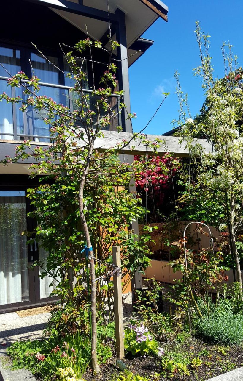 Shetland Court Apartments Dunedin Exteriör bild